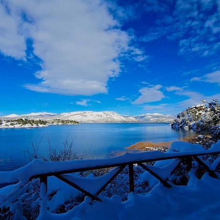 Cabanas Aucaman Villa Pehuenia Exteriér fotografie